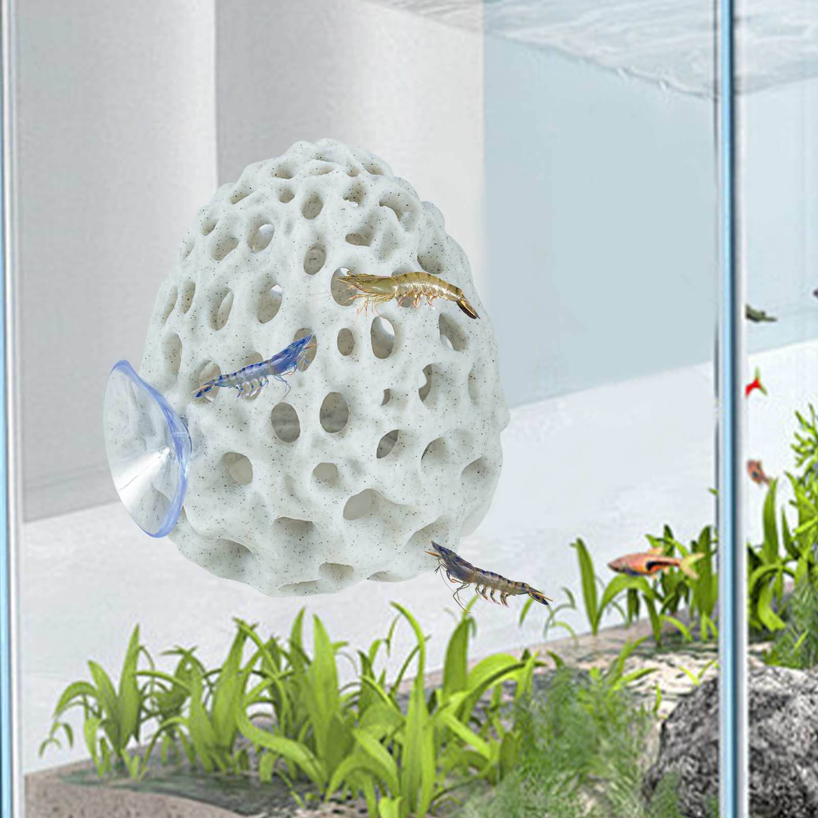 Aquarium Fish Games - Shrimp Hides for Aquarium, Betta Fish