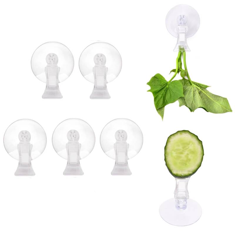 Aquarium Fish Food - 5pcs Veggie Clips Aquarium Seaweed Clips