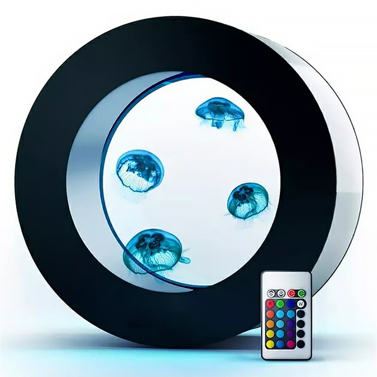 All Fish In Aquarium - O-shaped Jellyfish Aquarium for Display, Tabletop