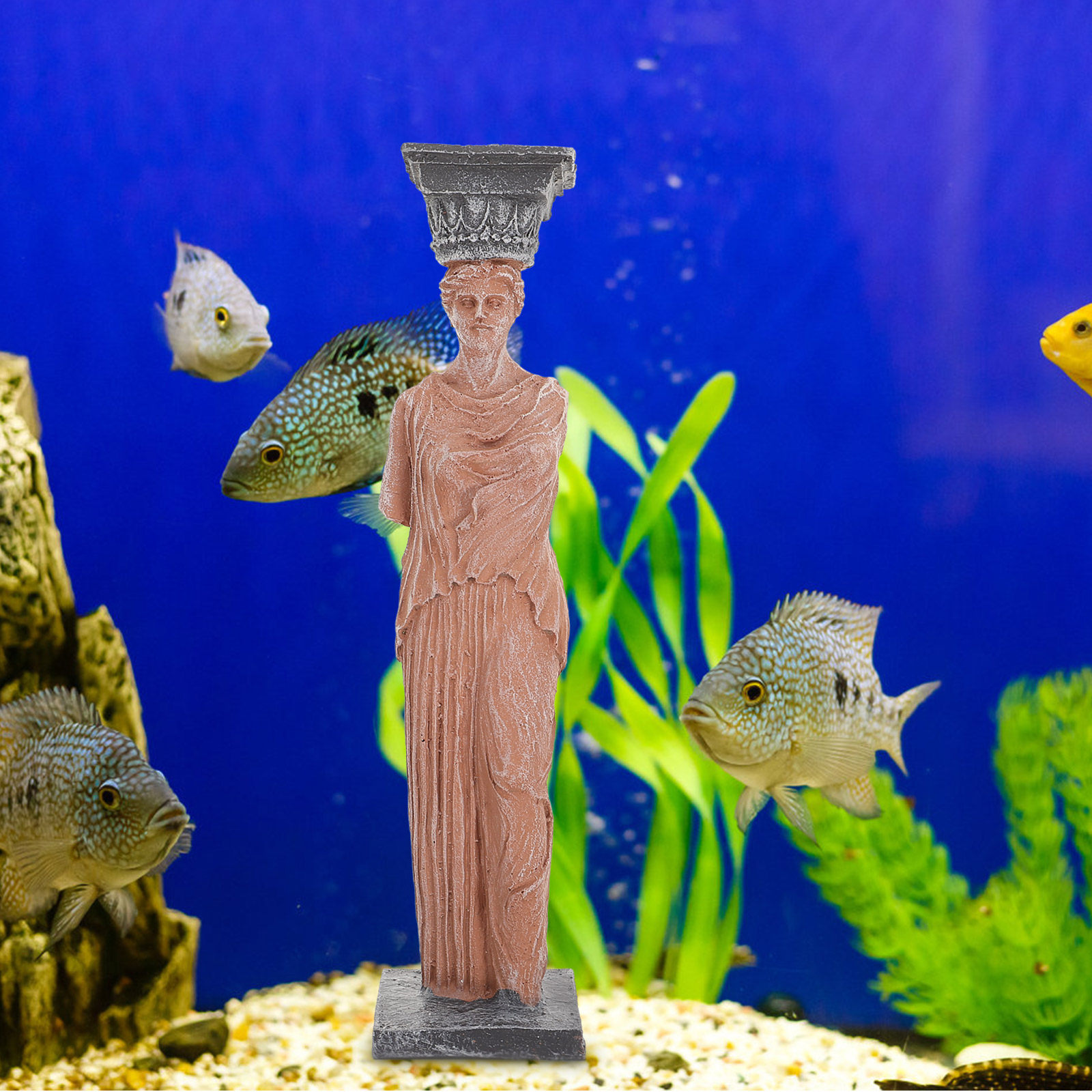 All Fish In Aquarium - 1Pcs Skull Theme Aquarium Decor Resin