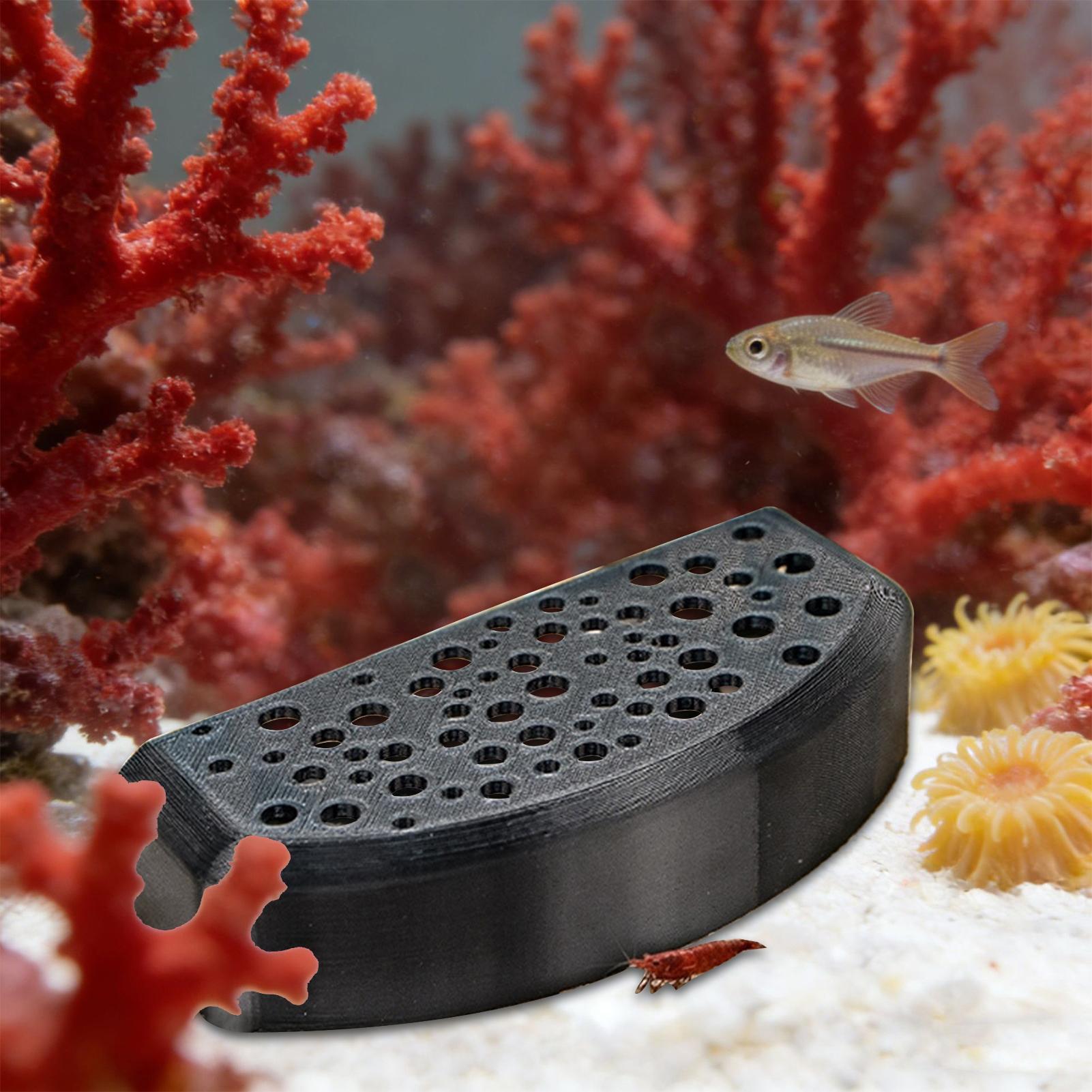 Aquatic Pet Rest Ornament Mult - Aquarium Fish Zone recensione e prezzo