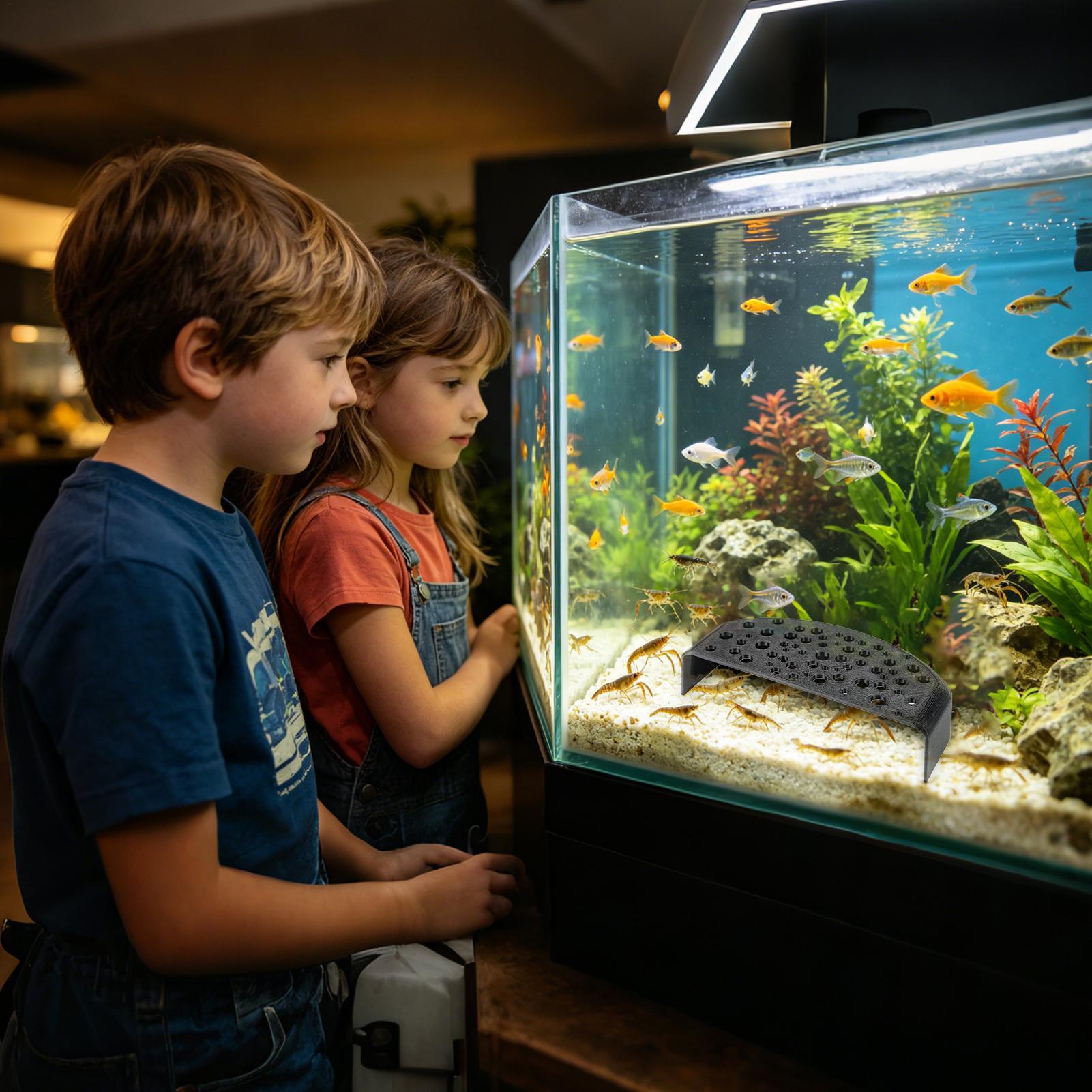 Aquatic Pet Rest Ornament Mult - Aquarium Fish Zone recensione e prezzo