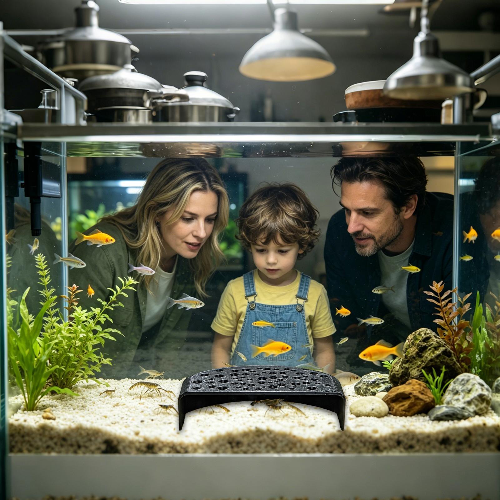 Aquatic Pet Rest Ornament Mult - Aquarium Fish Zone recensione e prezzo