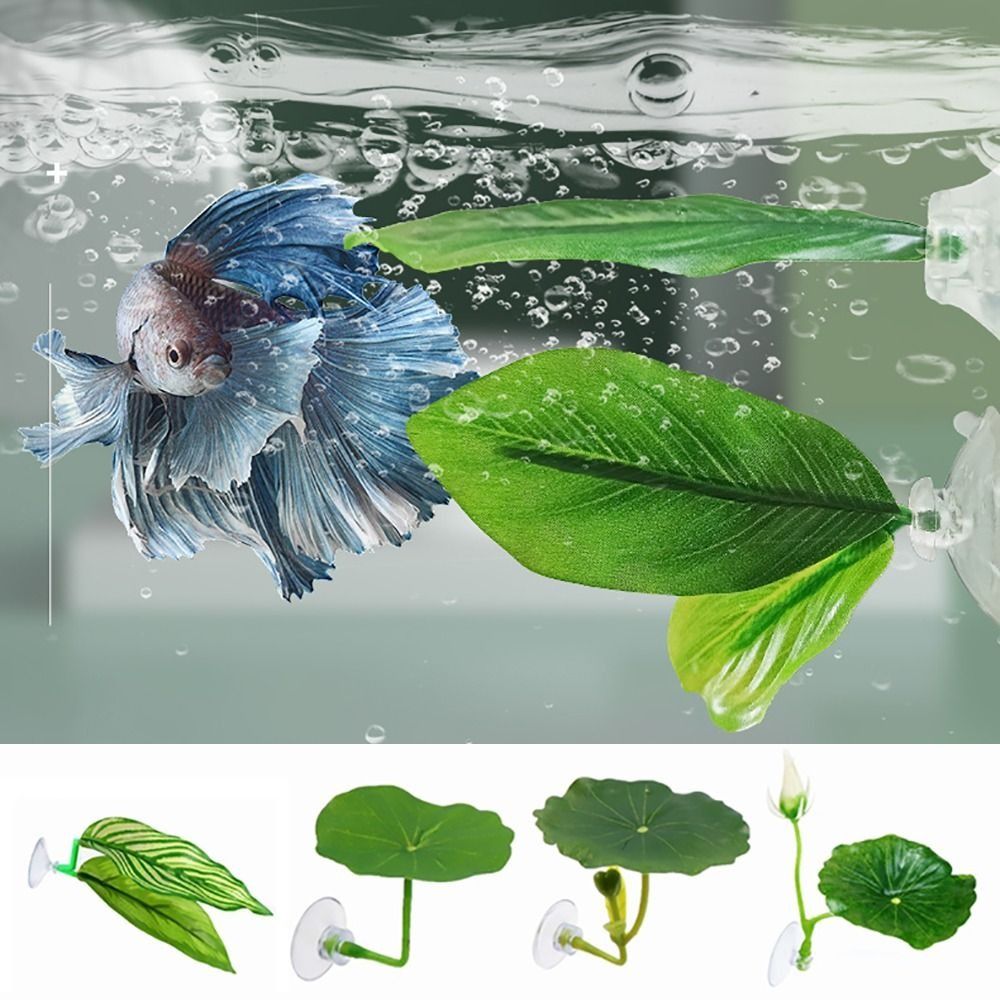 Plastic Betta Fish Rest Leaf S - Aquarium Fish Games recensione e prezzo