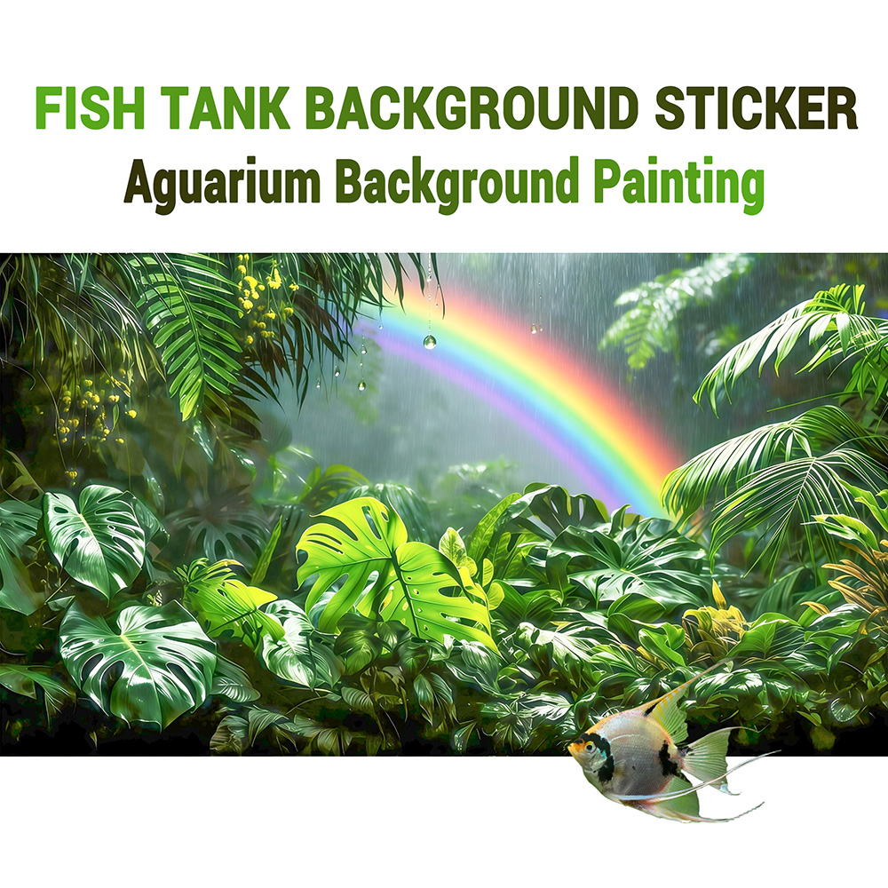 Rainforest Rainbow，fish tank b - Aquarium Fish Rainbow recensione e prezzo