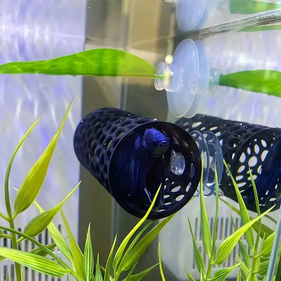 Aquarium Fish Hideout Black Ho - Aquarium Fish Games recensione e prezzo