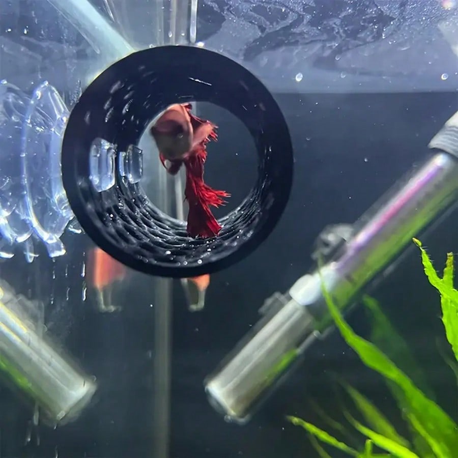 Aquarium Fish Hideout Black Ho - Aquarium Fish Games recensione e prezzo
