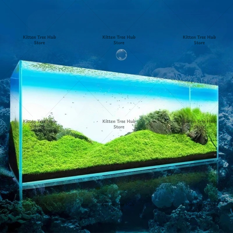 Fish Tank Background Board LED - Aquarium Fish Rainbow recensione e prezzo