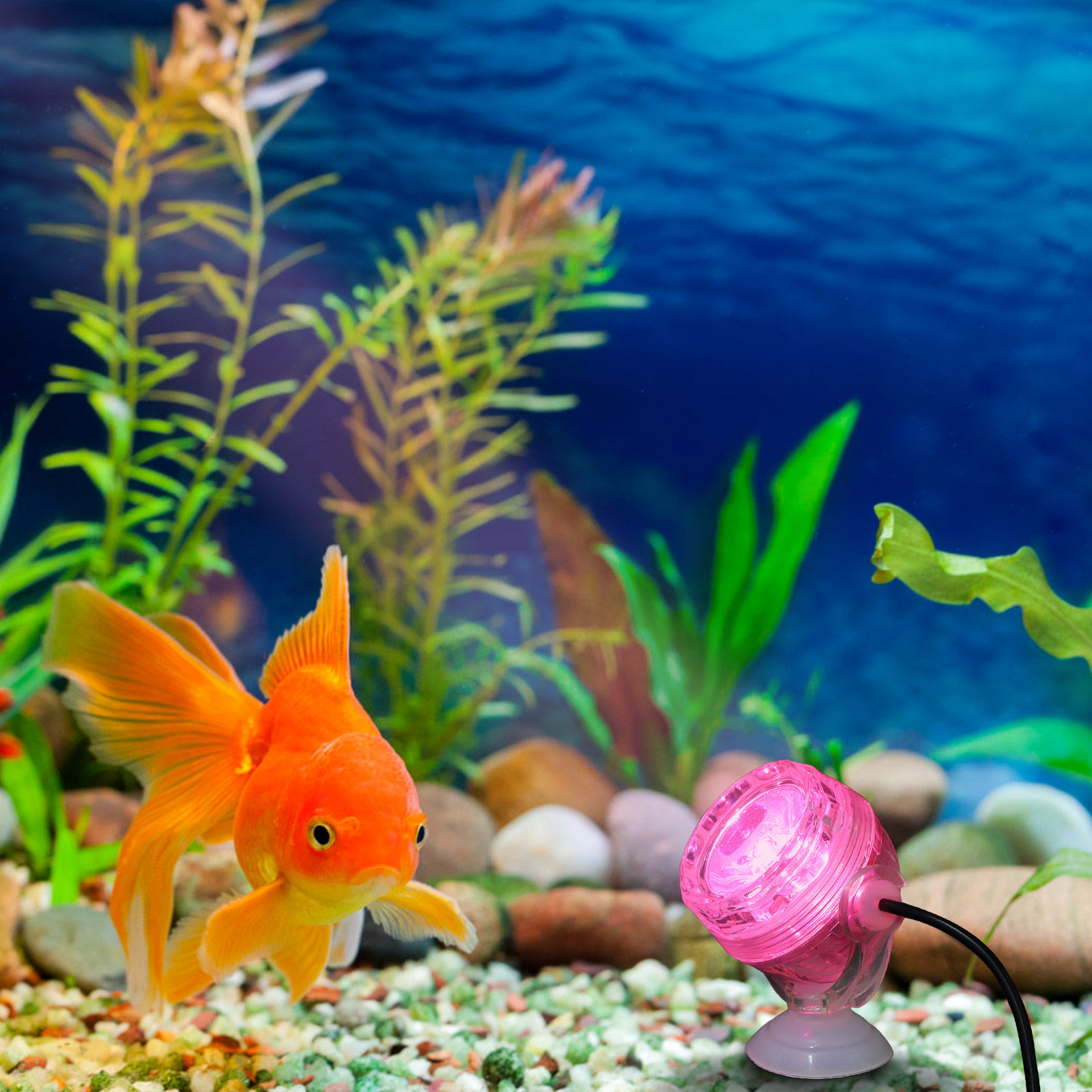Small LED Aquarium Light Water - Aquarium Fish Rainbow recensione e prezzo