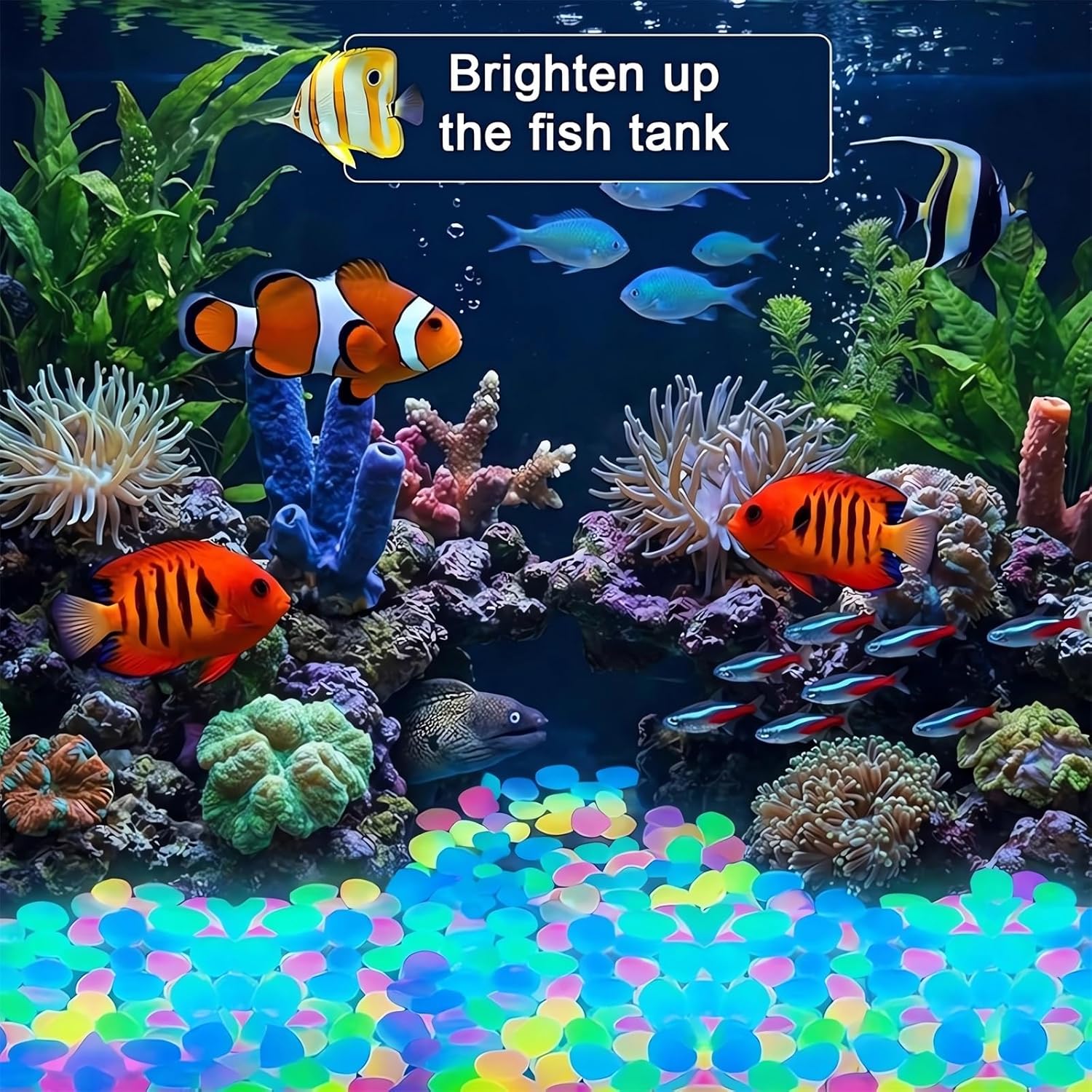 2026 Colored Night Glow Pebble - Aquarium Fish Rainbow recensione e prezzo