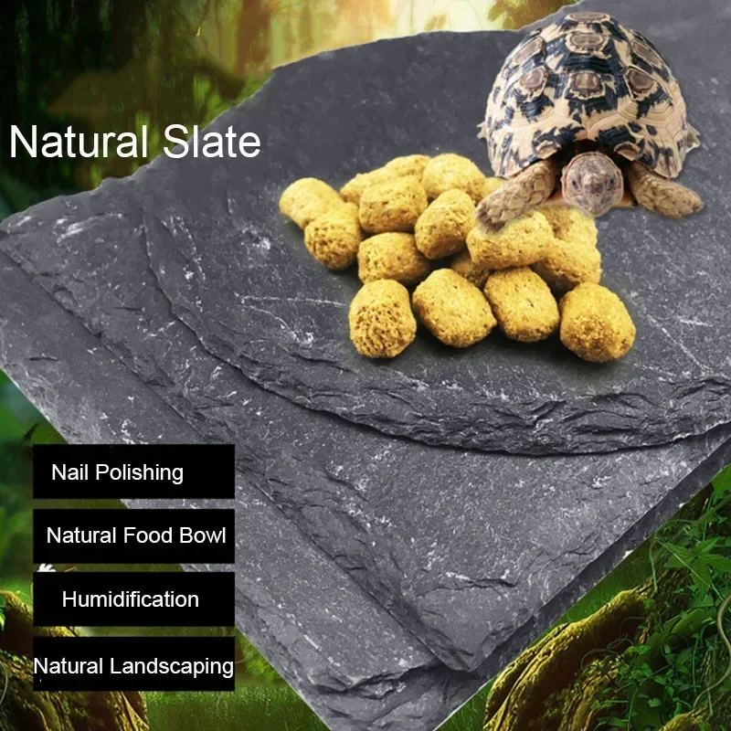 Natural Slate Aquarium Pet Rep - Aquarium Fish Food recensione e prezzo
