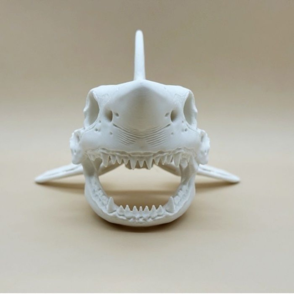 3D Printing Shark Skull Skelet - Aquarium Fish Games recensione e prezzo