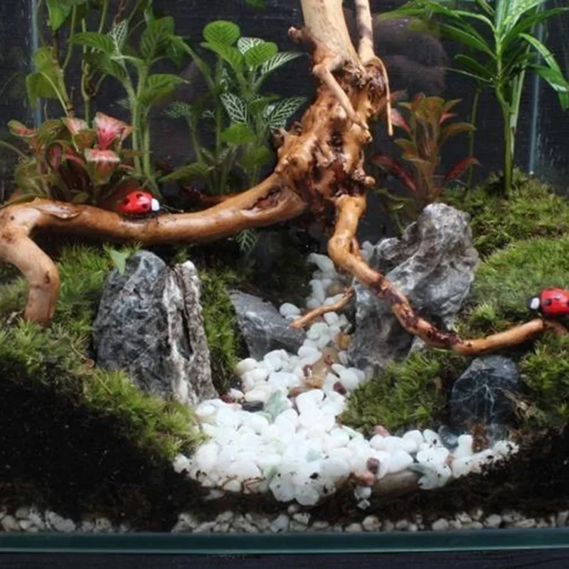 Natural Tree Trunk Driftwood A - Aquarium Fish Games recensione e prezzo