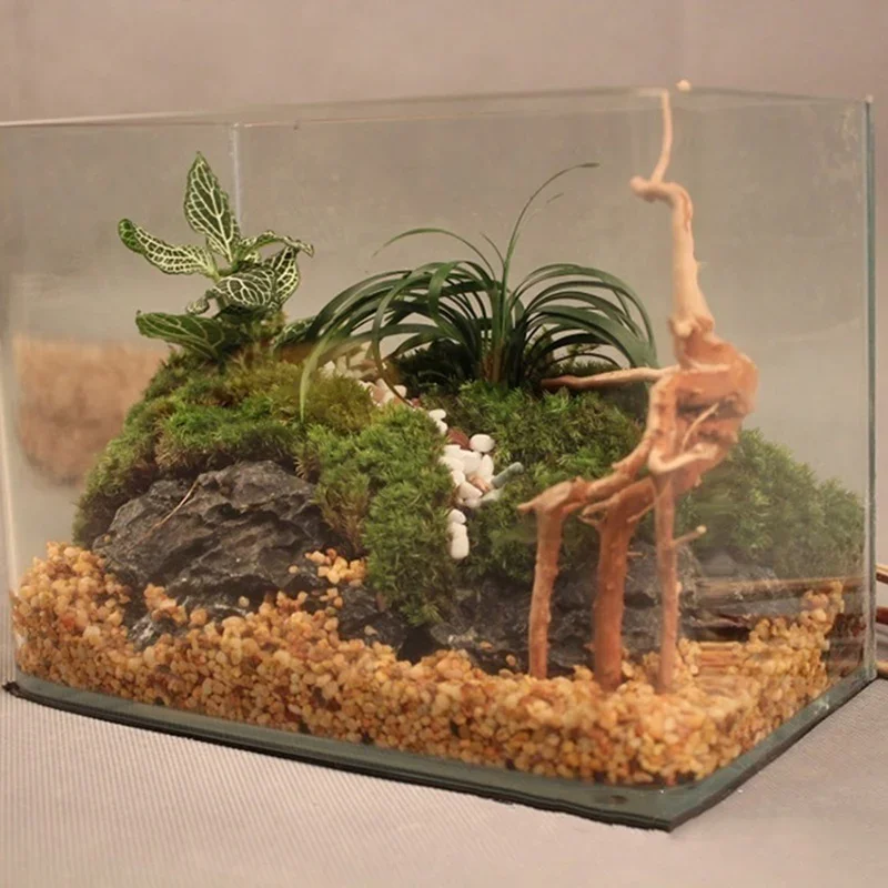 Natural Tree Trunk Driftwood A - Aquarium Fish Games recensione e prezzo