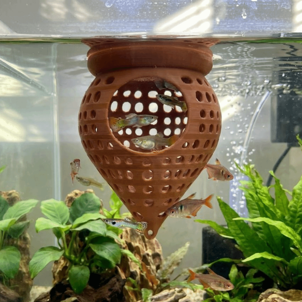 3D Printed Floating Fish Hammo - Aquarium Fish Food recensione e prezzo