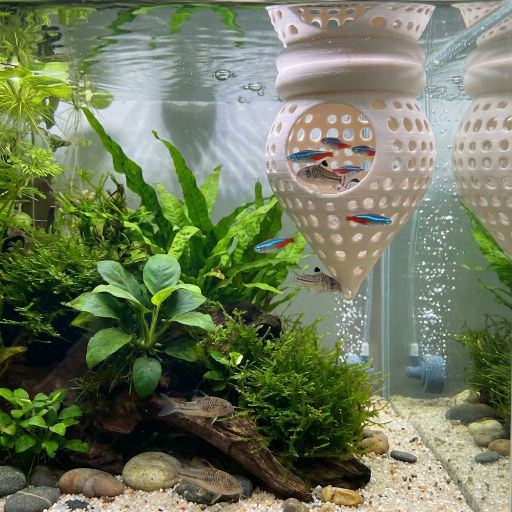 3D Printed Floating Fish Hammo - Aquarium Fish Food recensione e prezzo