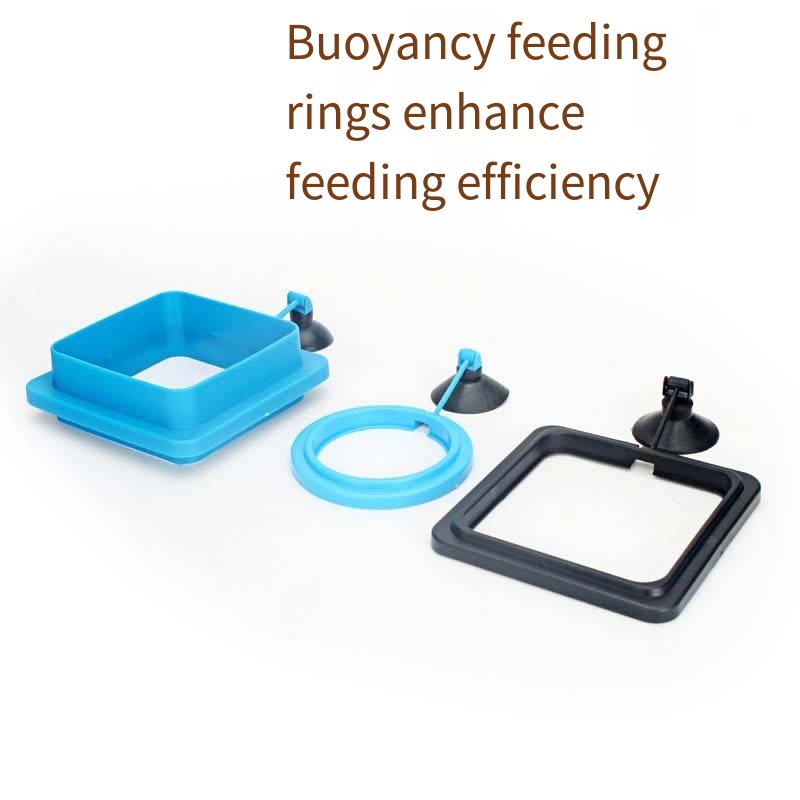1PCS Various fish feed areas,  - Aquarium Fish Zone recensione e prezzo