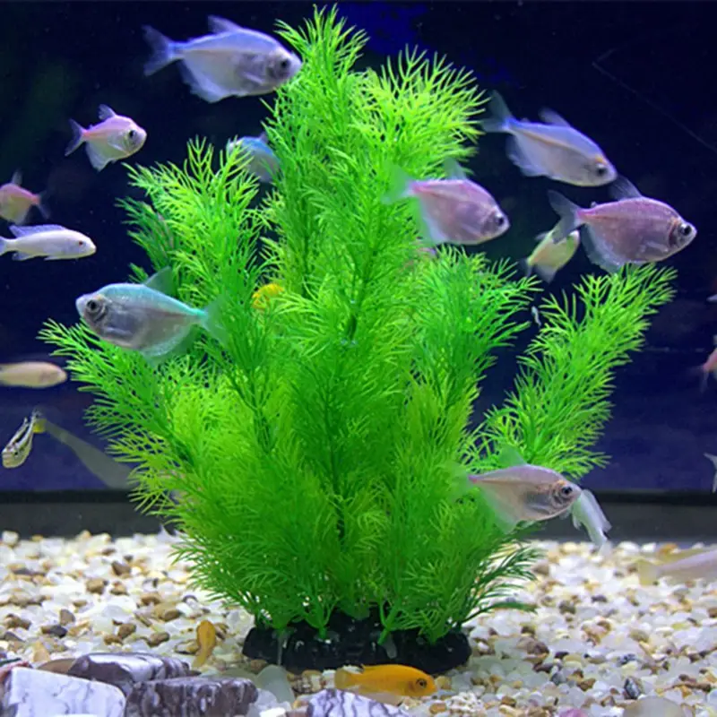 Artificial Aquarium Decor Plan - Aquarium Fish Games recensione e prezzo