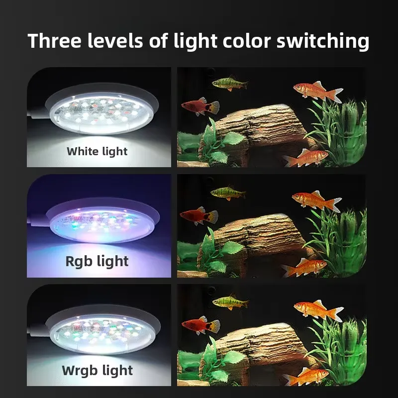Professional LED Clip-on Aquar - All Fish In Aquarium recensione e prezzo