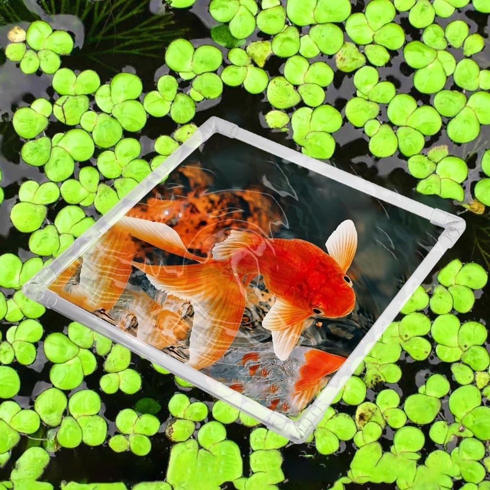 Aquarium Floating Plant Corral - Aquarium Fish Zone recensione e prezzo