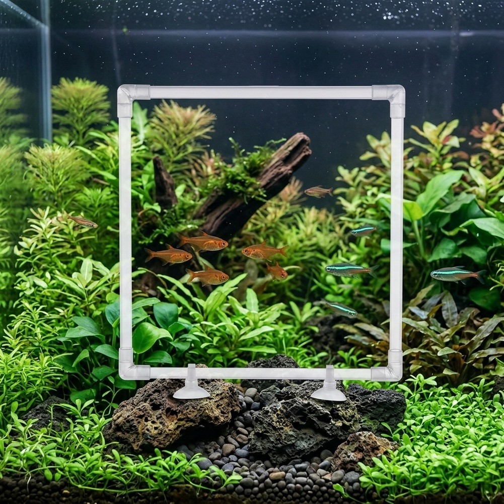 Aquarium Floating Plant Corral - Aquarium Fish Zone recensione e prezzo