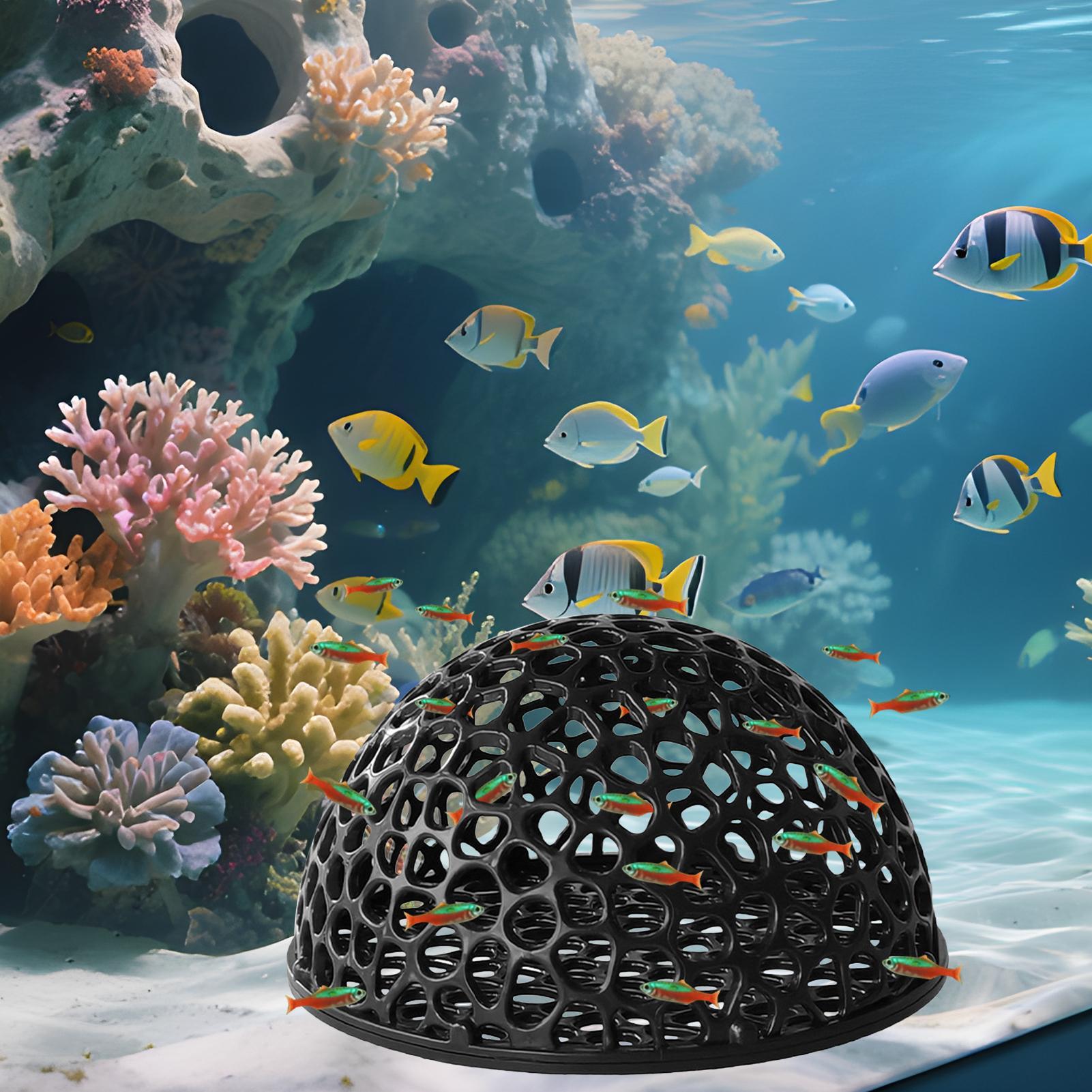 Aquarium Hiden Cave Shelter fo - Aquarium Fish Games recensione e prezzo