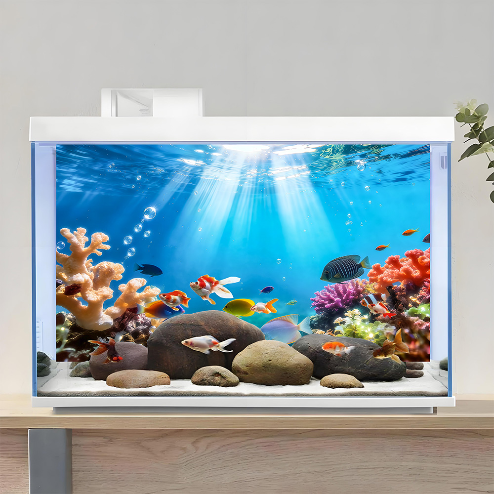 Rainbow-colored corals , fish  - Aquarium Fish Rainbow recensione e prezzo