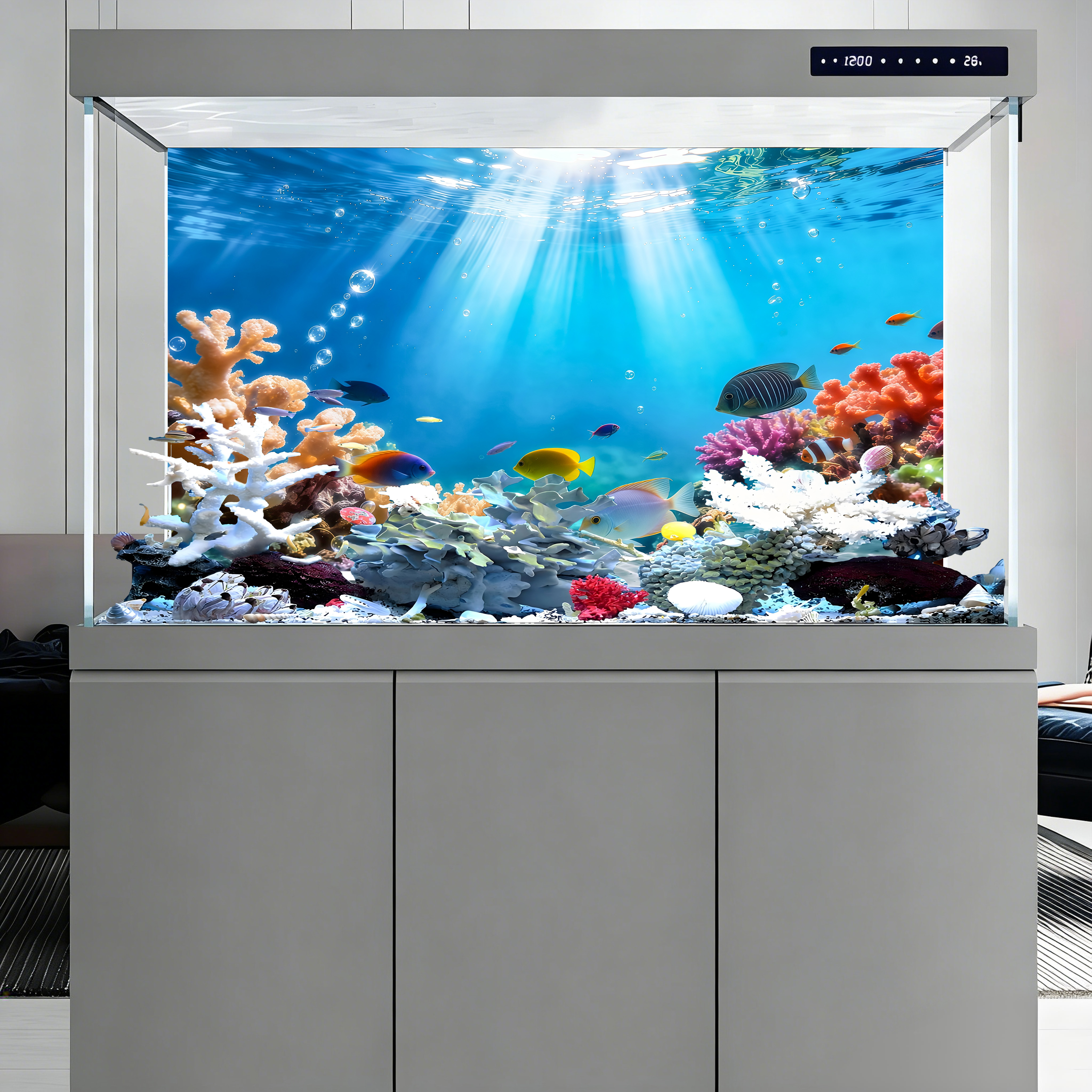 Rainbow-colored corals , fish  - Aquarium Fish Rainbow recensione e prezzo