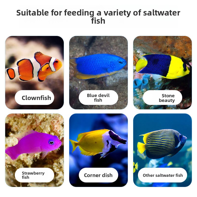 DEERA Clownfish & Tang Food |  - All Fish In Aquarium recensione e prezzo