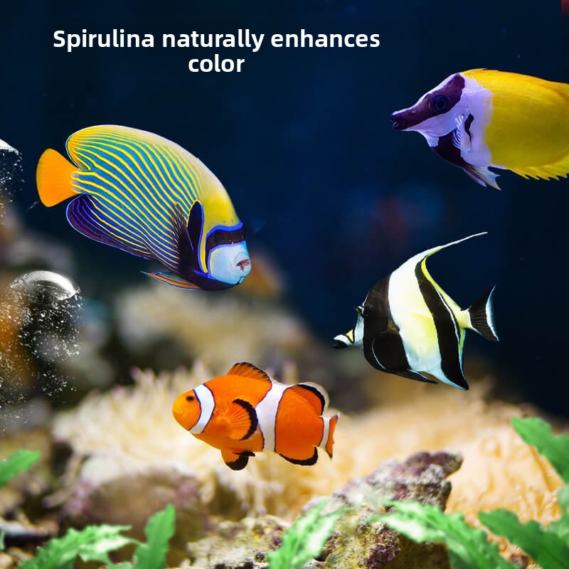 DEERA Clownfish & Tang Food |  - All Fish In Aquarium recensione e prezzo
