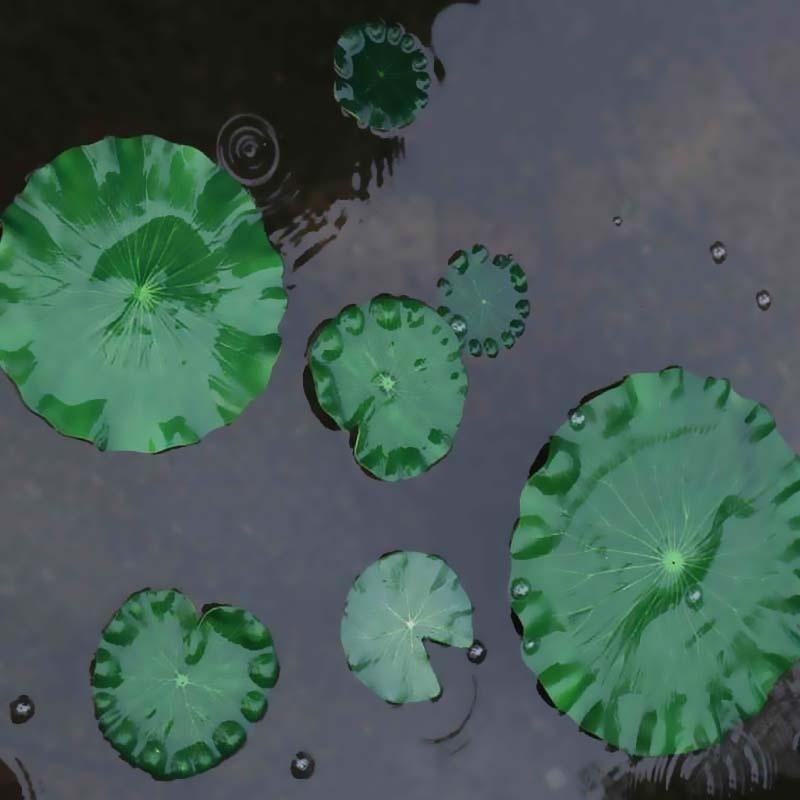 2026 Artificial Water Lily Lot - Aquarium Fish Pond recensione e prezzo