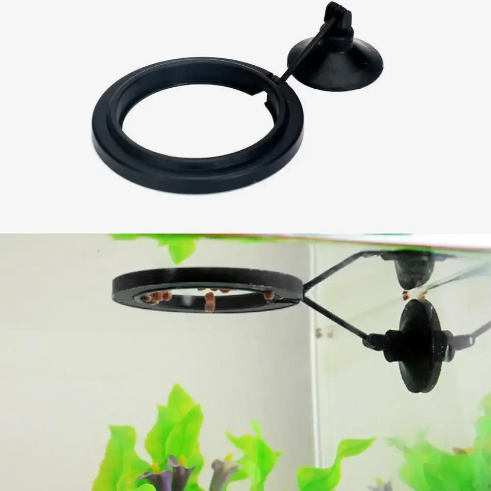 Feed Suction Cup Aquarium Feed - Aquarium Fish Food recensione e prezzo