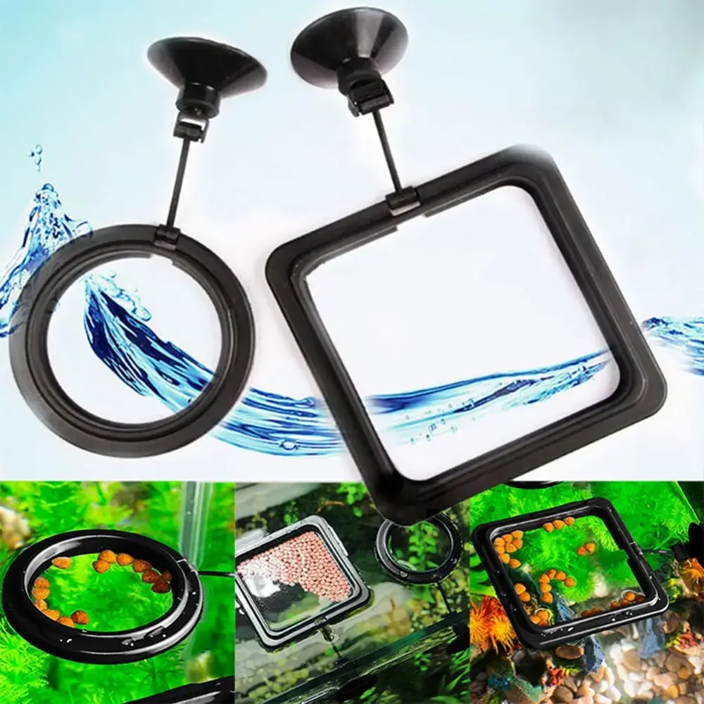 Feed Suction Cup Aquarium Feed - Aquarium Fish Food recensione e prezzo