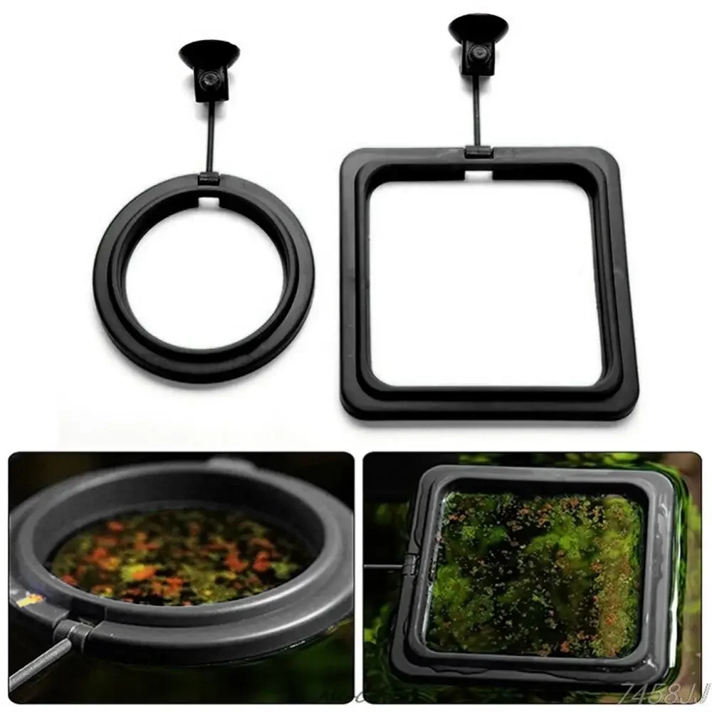 Feed Suction Cup Aquarium Feed - Aquarium Fish Food recensione e prezzo