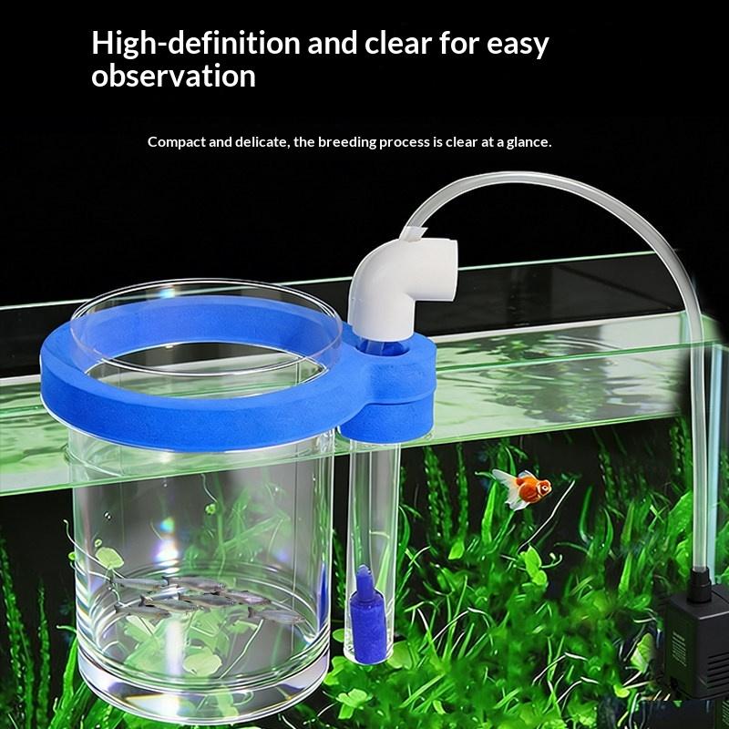Transparent Acrylic Fish Breed - Aquarium Fish Food recensione e prezzo