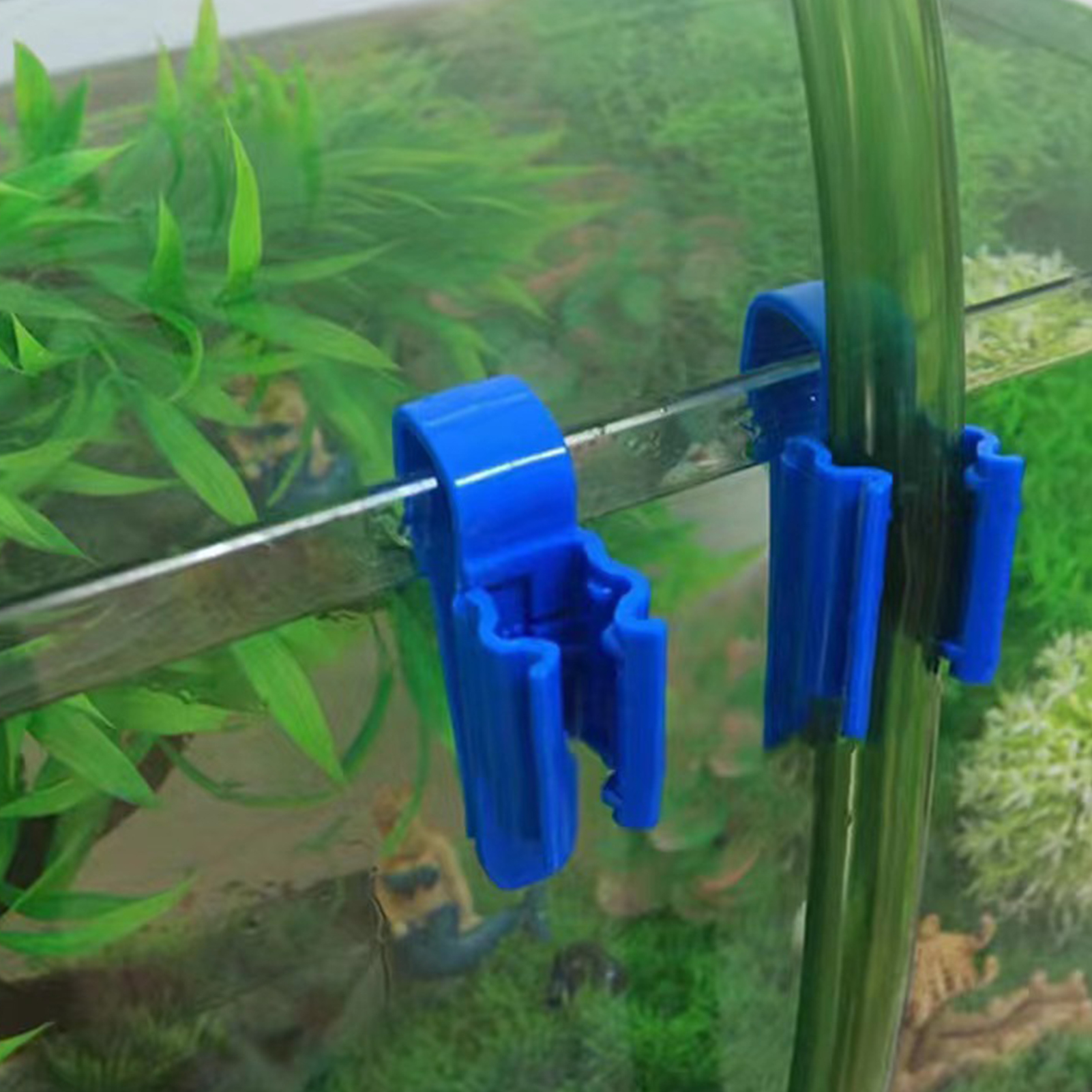Aquarium Tube Holder Clip Fish - All Fish In Aquarium recensione e prezzo