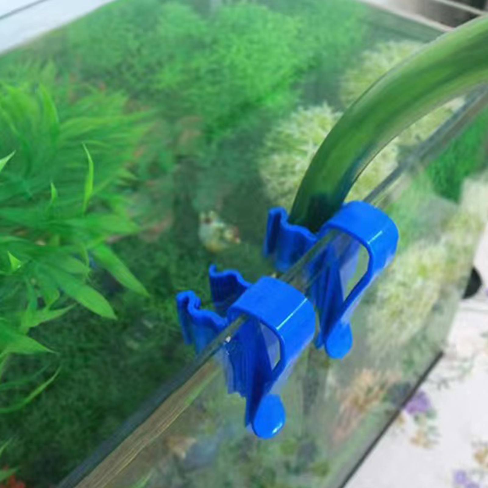 Aquarium Tube Holder Clip Fish - All Fish In Aquarium recensione e prezzo