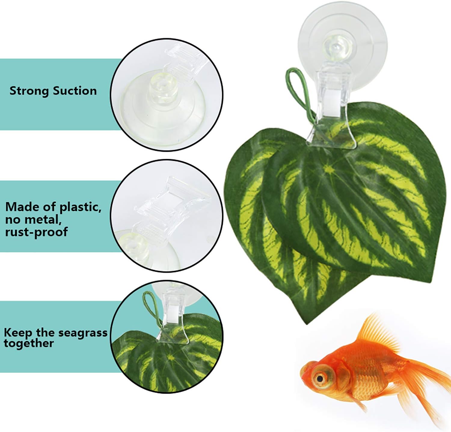 5pcs Veggie Clips Aquarium Sea - Aquarium Fish Food recensione e prezzo