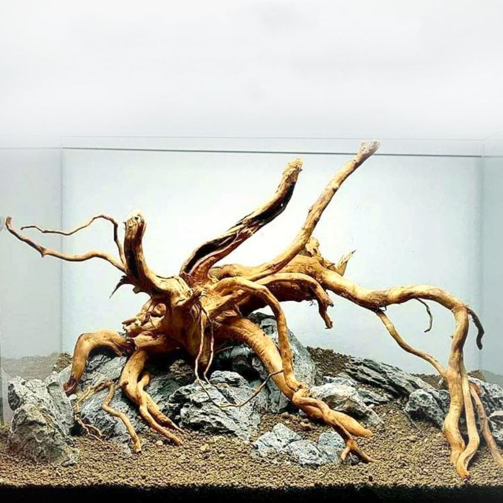 Natural Tree Trunk Aquarium De - Aquarium Fish Games recensione e prezzo