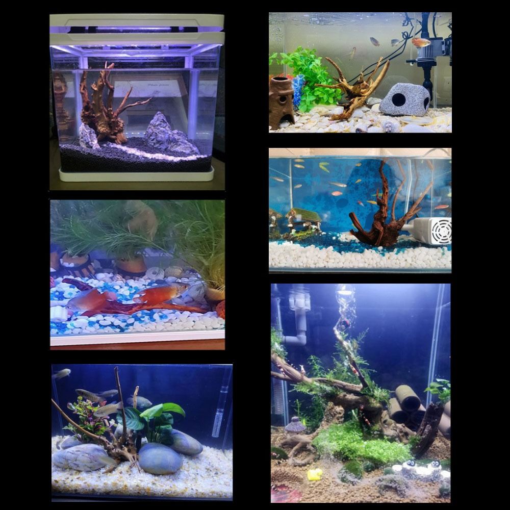 Natural Tree Trunk Aquarium De - Aquarium Fish Games recensione e prezzo