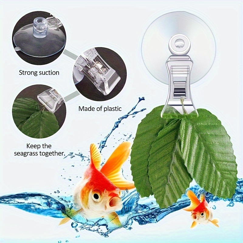 8pcs Fish Seaweed Clip Plant S - Aquarium Fish Food recensione e prezzo