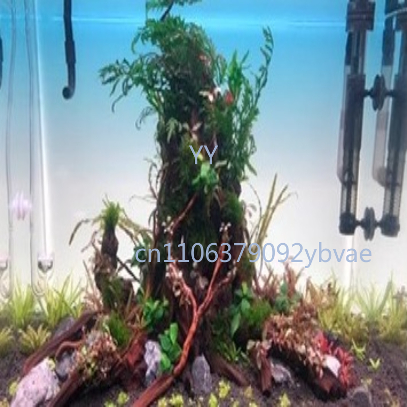 Aquarium Background Board Lumi - Aquarium Fish Rainbow recensione e prezzo