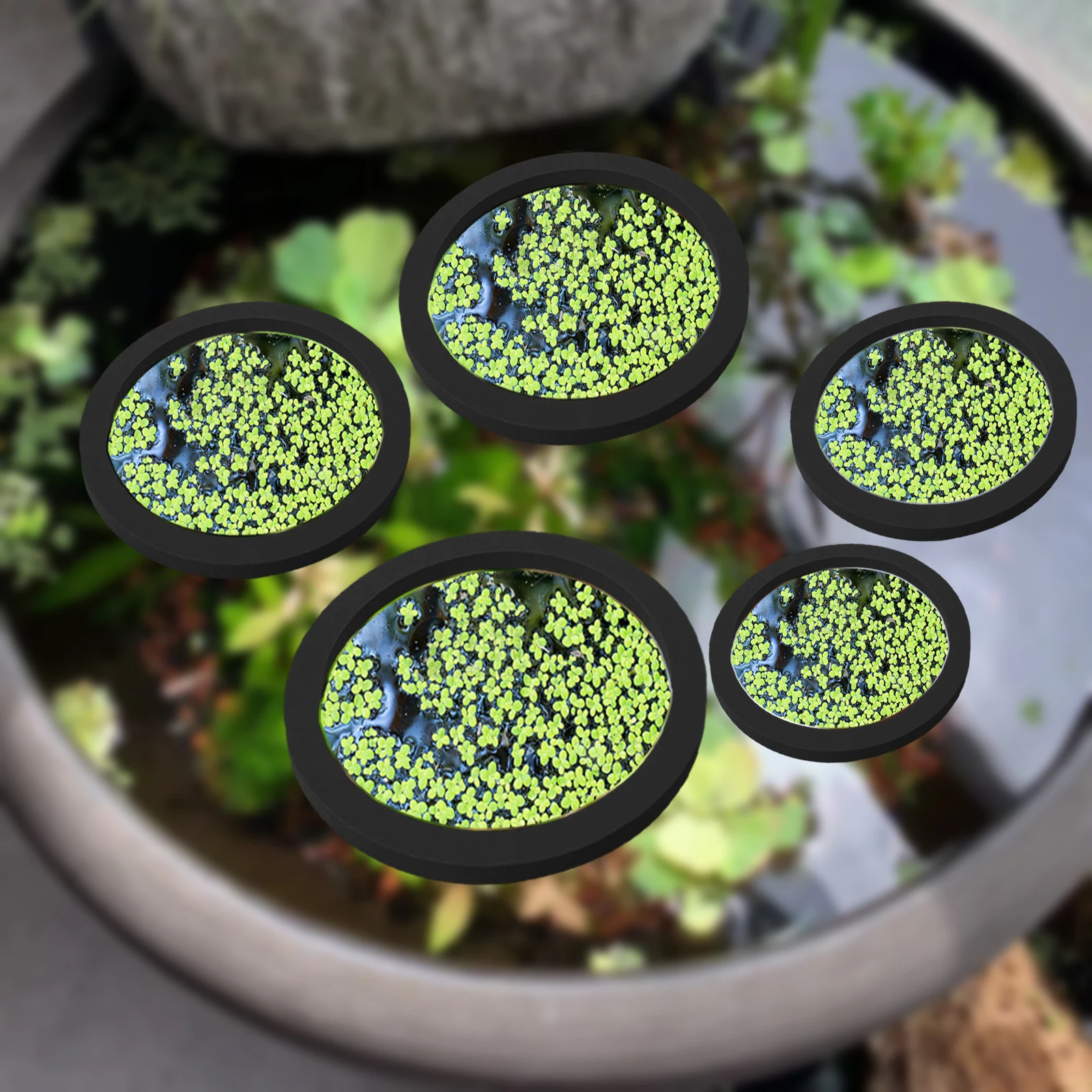 5Pcs EVA Fish Feeding Ring Aqu - Aquarium Fish Pond recensione e prezzo