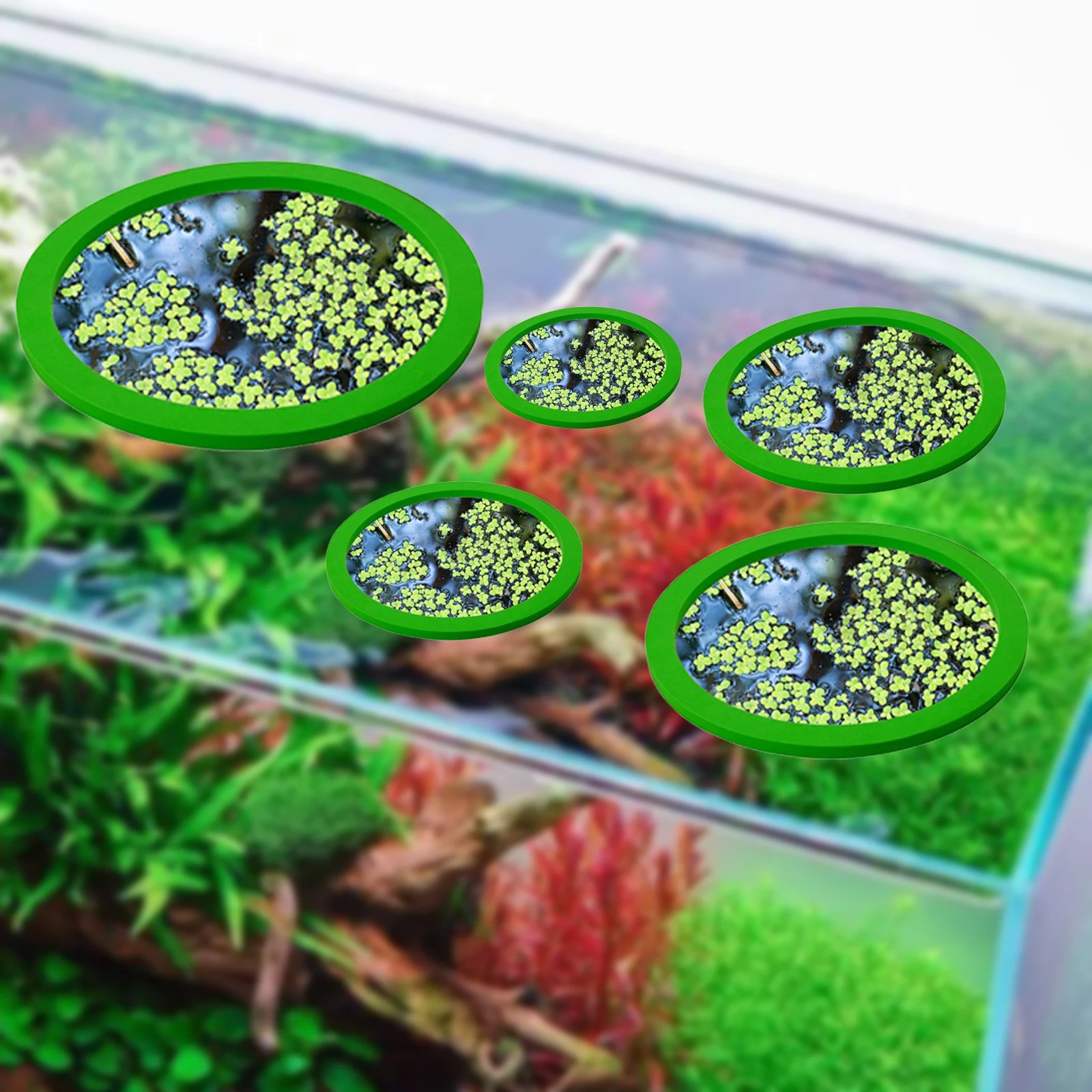 5Pcs EVA Fish Feeding Ring Aqu - Aquarium Fish Pond recensione e prezzo