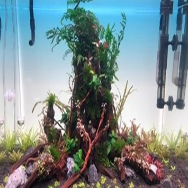 Fish Tank Background Board LED - Aquarium Fish Rainbow recensione e prezzo