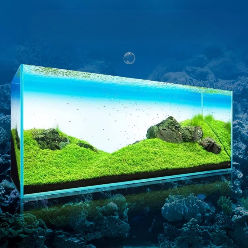 Fish Tank Background Board LED - Aquarium Fish Rainbow recensione e prezzo