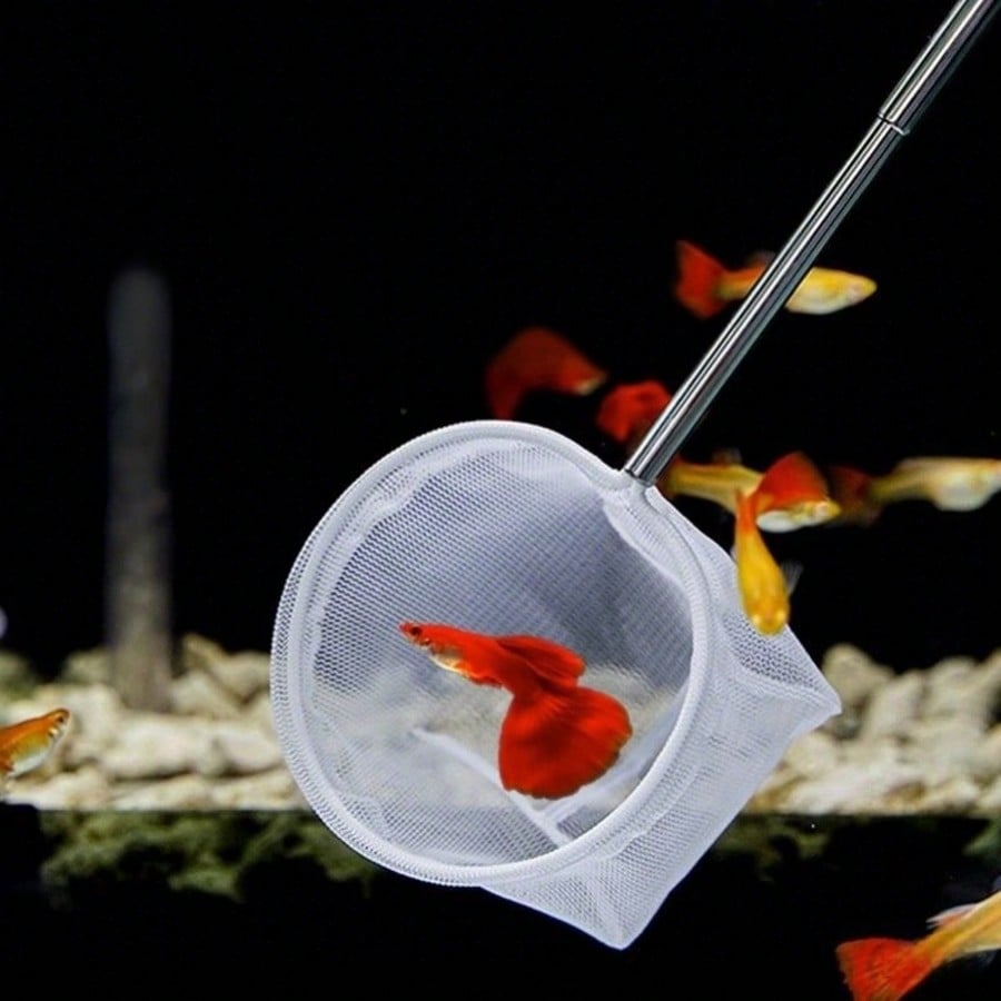 Aquarium Fish Net - a Retracta - Aquarium Fish Food recensione e prezzo