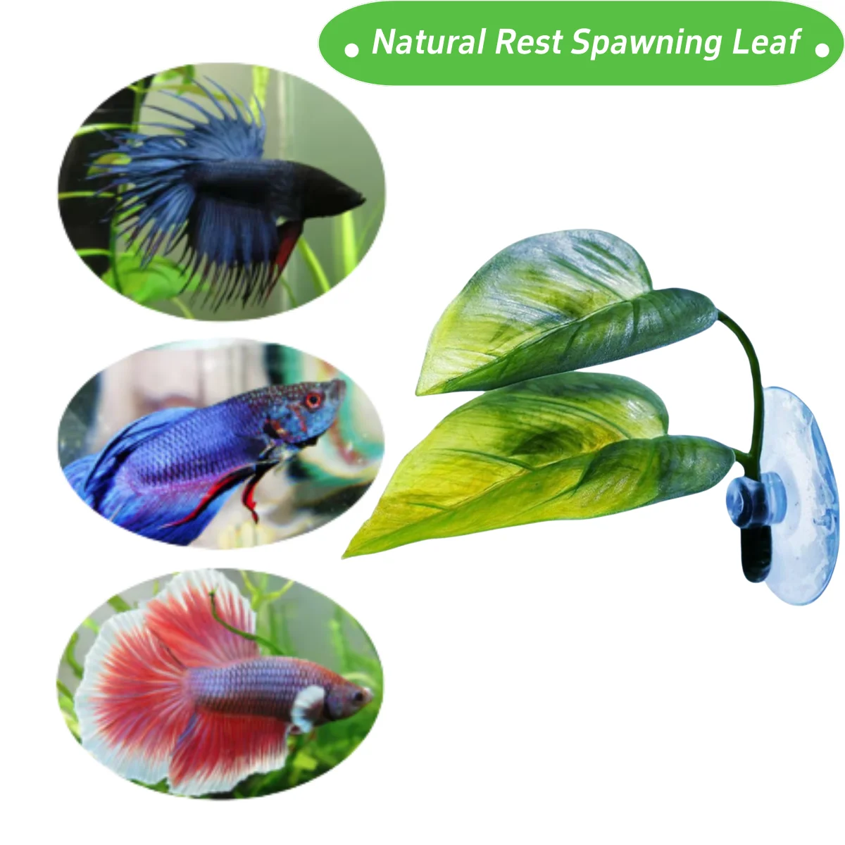 Pets Fish Tank Decor Betta Rel - Aquarium Fish Games recensione e prezzo