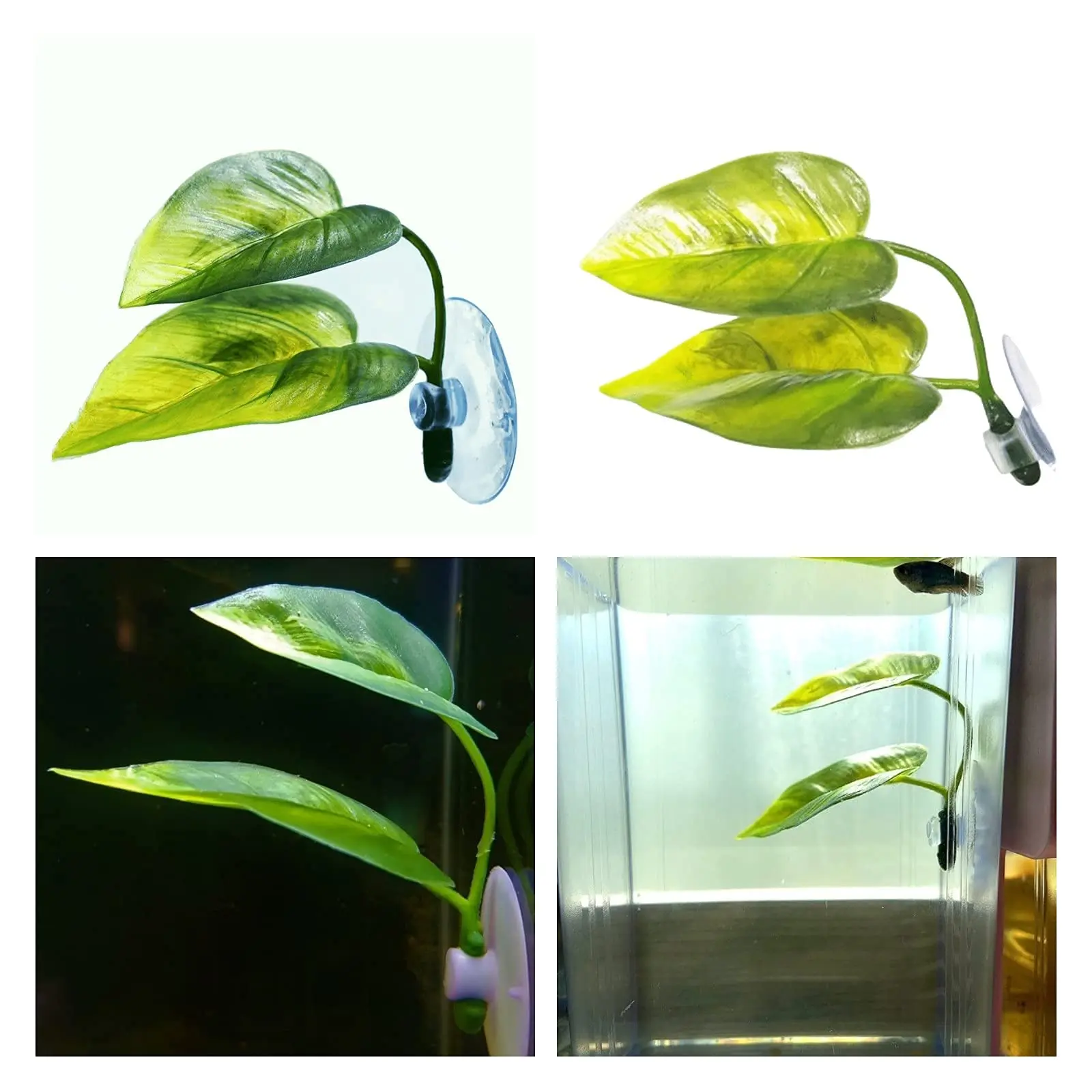 Pets Fish Tank Decor Betta Rel - Aquarium Fish Games recensione e prezzo