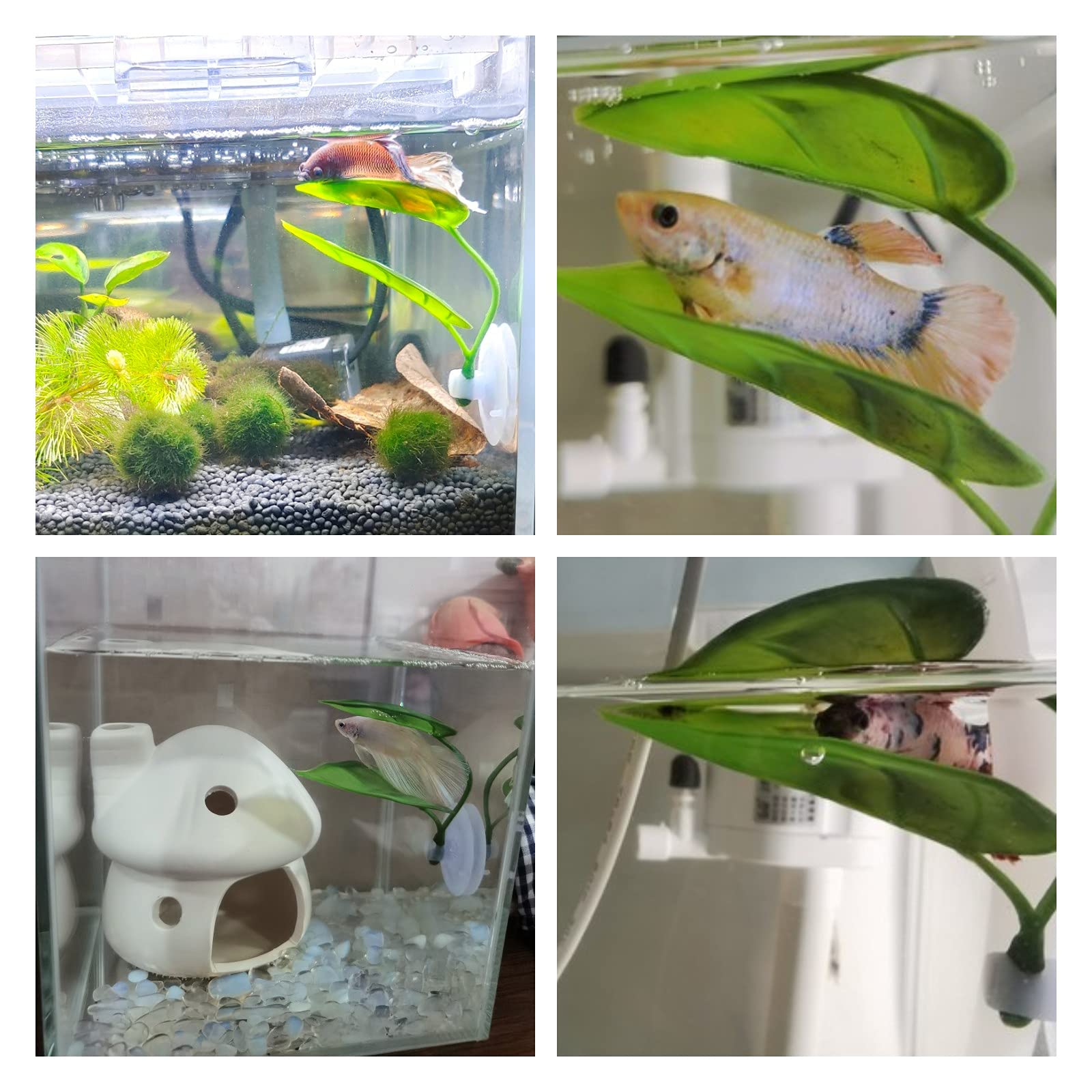 Pets Fish Tank Decor Betta Rel - Aquarium Fish Games recensione e prezzo